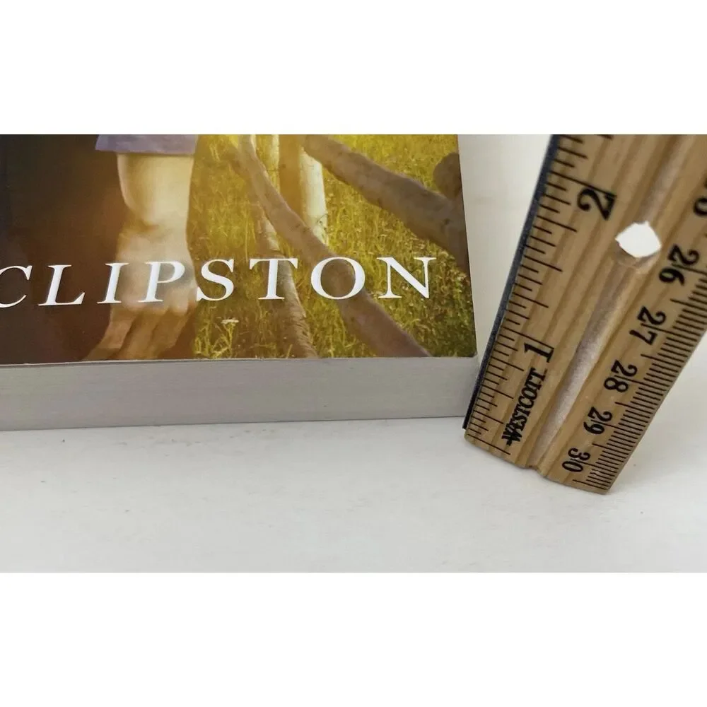Hopeful Heart by Amy Clipston (2013, Trade Paperback)